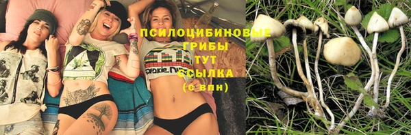 гидропоника Алексеевка