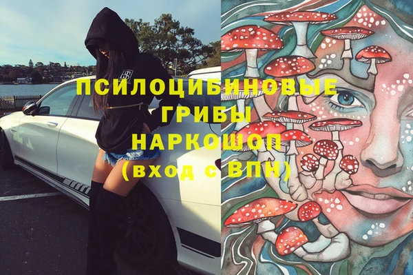 мяу мяу мука Алексин