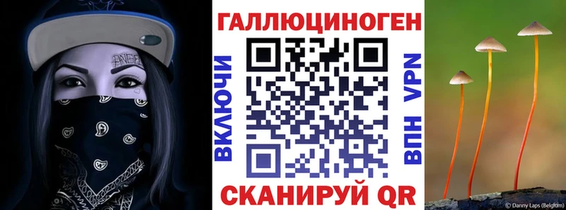 Псилоцибиновые грибы Cubensis  Хотьково 